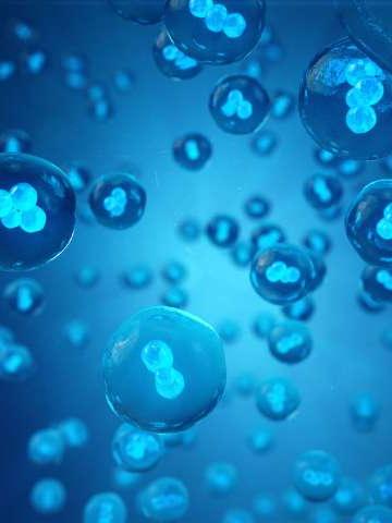 细胞3D图解，早期胚胎科学概念干细胞研究